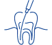 Endodoncja